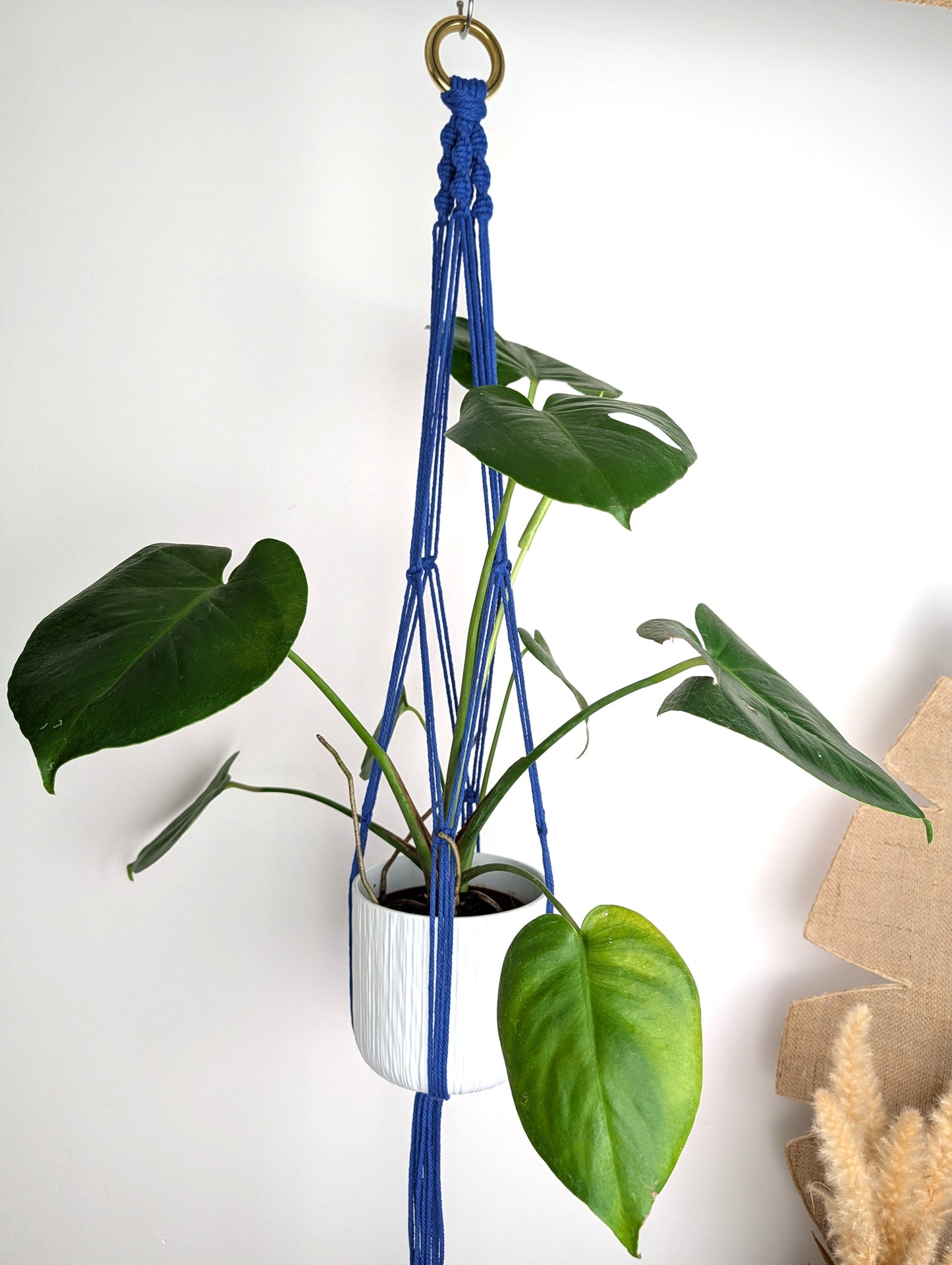 Atelier créatif : Suspension pour plante en macramé