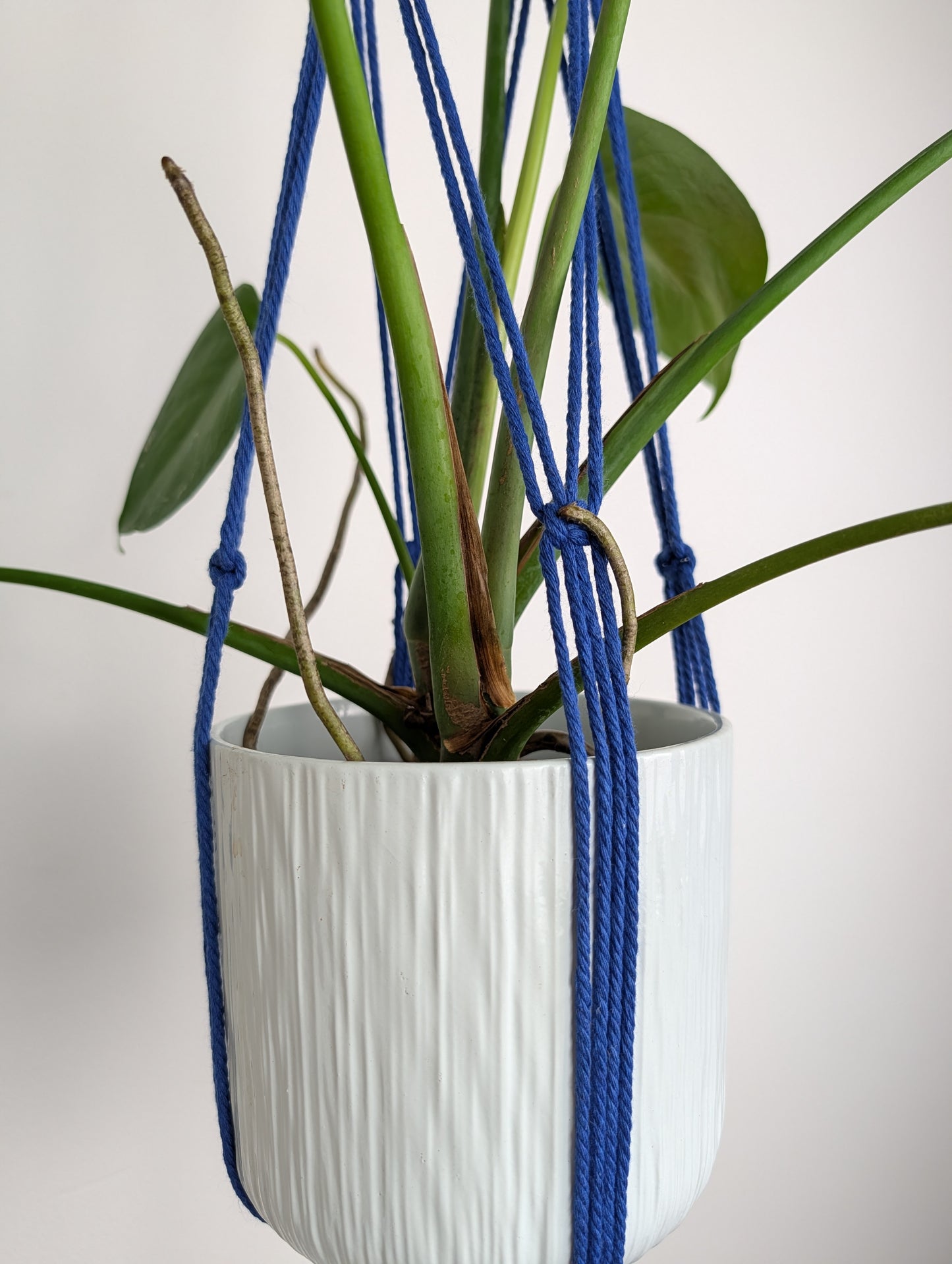 Atelier créatif : Suspension pour plante en macramé