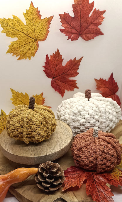 pumpkin_autumn