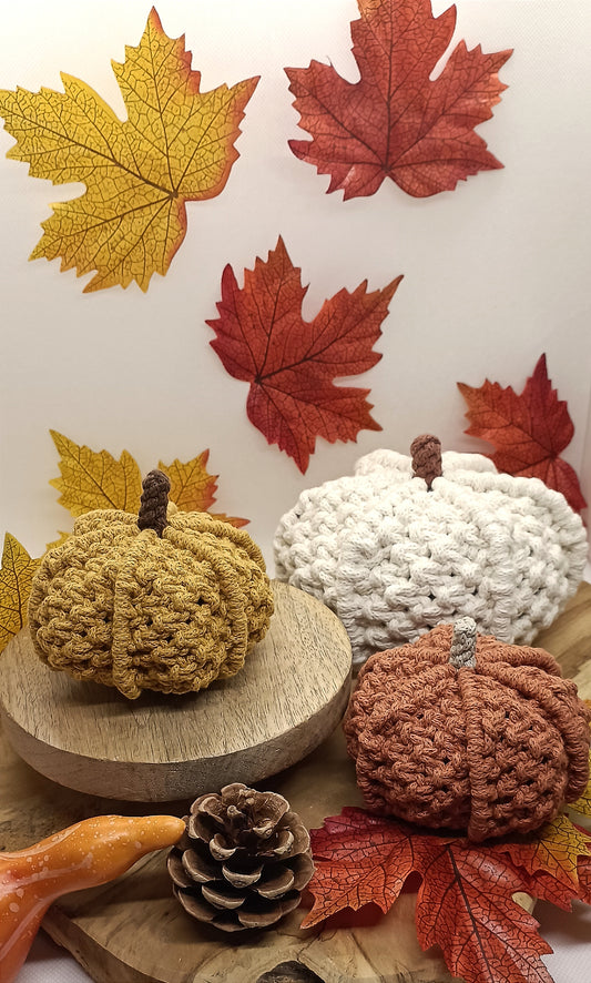pumpkin_autumn
