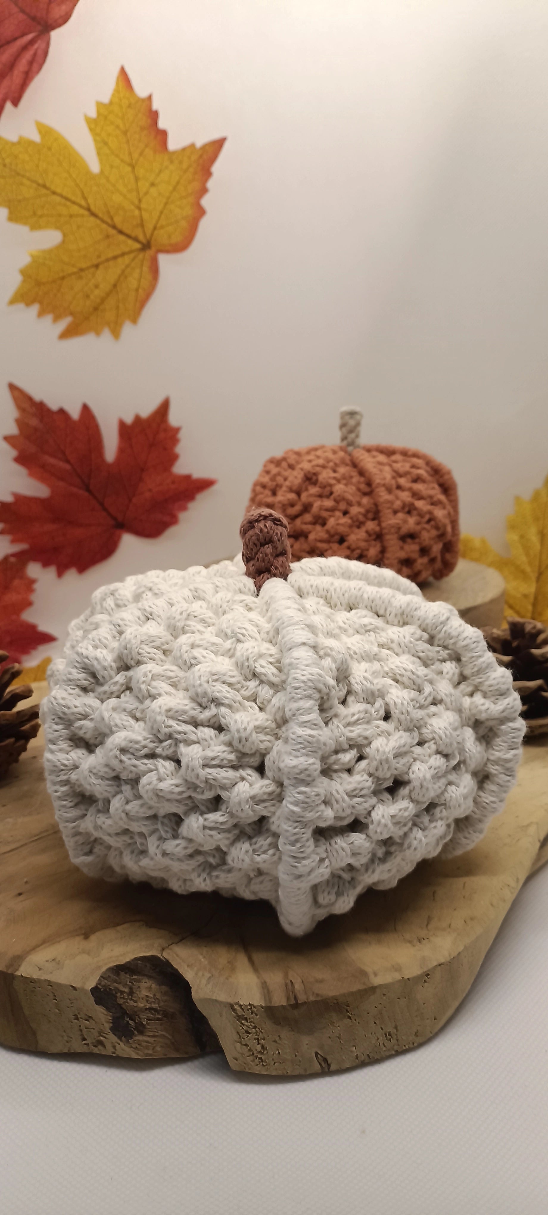white_pumpkin-autumn