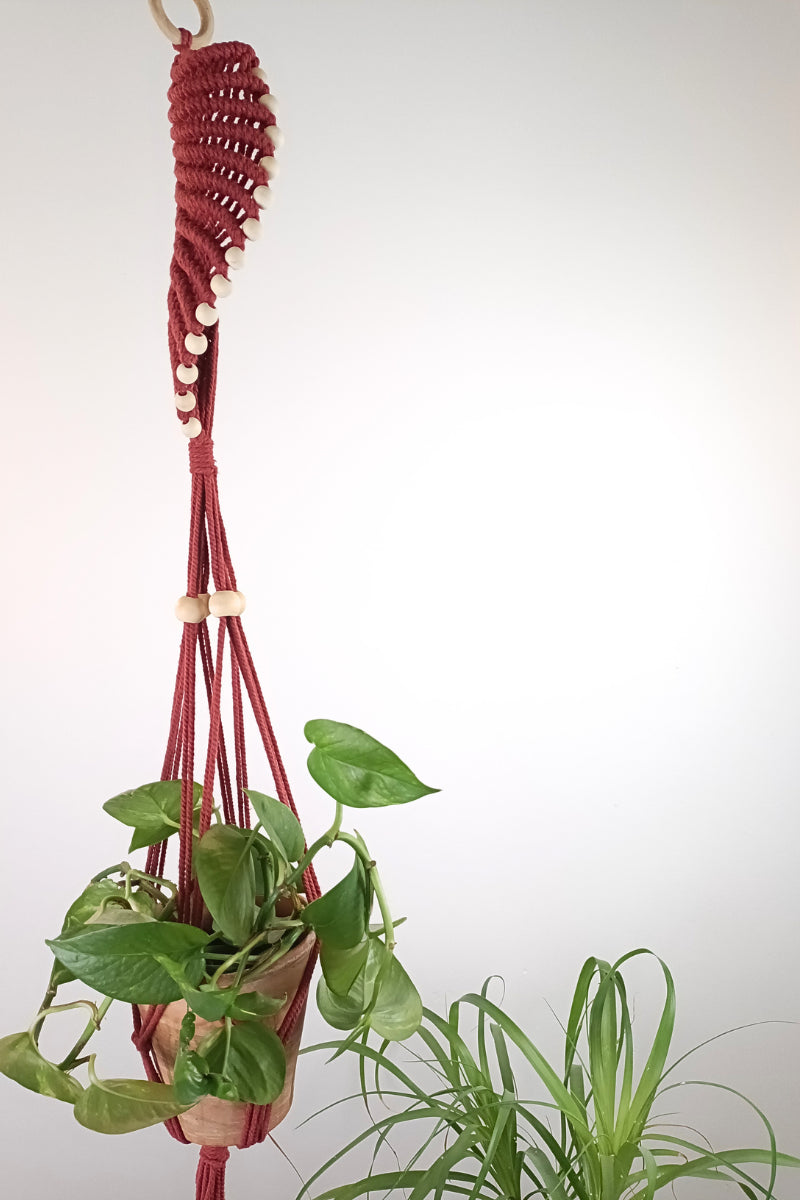 Suspension pour plante en macramé - Motif spirale